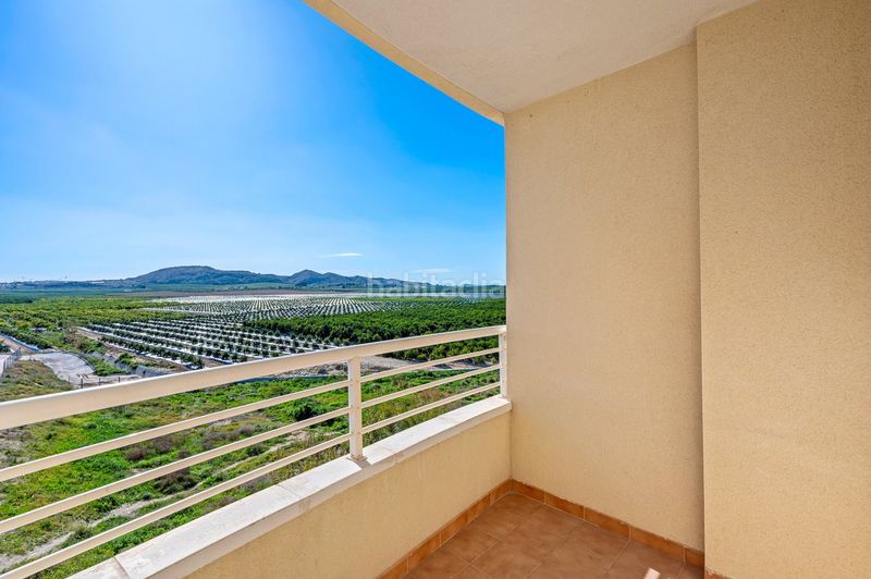 Foto 75441d73-bb19-4772-9761-b2d5e82b1469. Apartamento en n/a en Algorfa