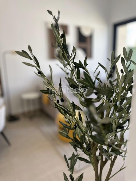 Foto b4d19147-266e-4aee-b2d8-a36e0031da6d. Casa a n/a a San Fulgencio