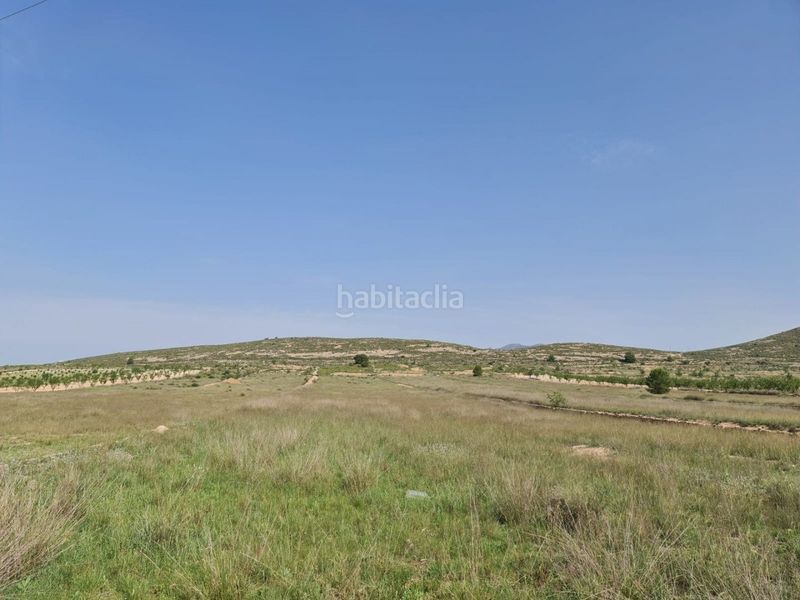 Foto 0c68bc3b-de45-46a4-b955-63a9d56d5f3c. Terreny residencial a n/a a Jumilla
