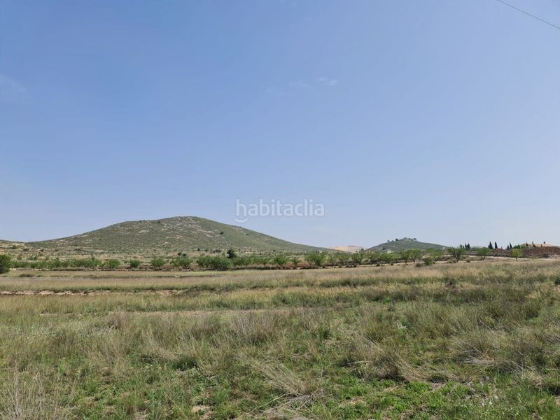 Foto 118ab96e-ffa6-4d14-ace9-70aa3fe6db47. Terreny residencial a n/a a Jumilla