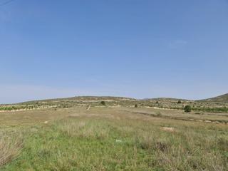 Residential Plot in N/a