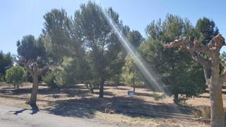 Residential Plot in N/a