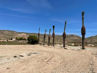 Terreno residencial en N/a