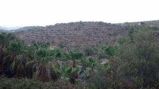Residential Plot in N/a