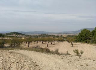 Terreno residencial en N/a