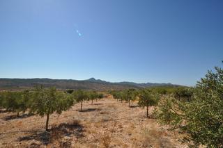 Terreno residencial en N/a