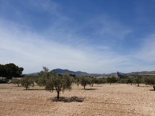Terreno residencial en N/A