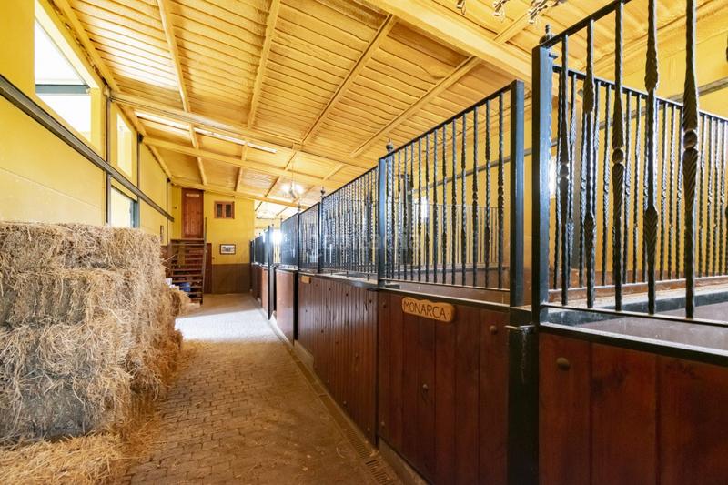 Foto 51064273-7ce2-4a7e-b691-99196bedcb32. Casa en n/a en Llano del Beal Cartagena