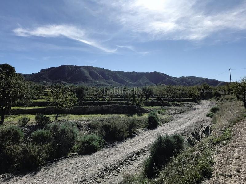 Foto db92570d-7767-468f-8000-e6ee2845c58f. Country house in n/a in Parrilla Lorca