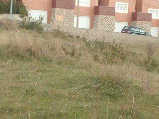 Terrain résidentiel  Calle el barrio. Se vende finca urbana en carbajal de la legua