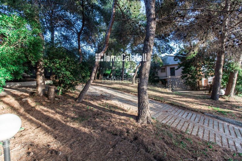 Foto d8f92a6d-f887-4062-81b2-5f4b6efaf736. Finca rústica a mèxic 86 a Segur de Calafell nucli urbà Segur de Calafell
