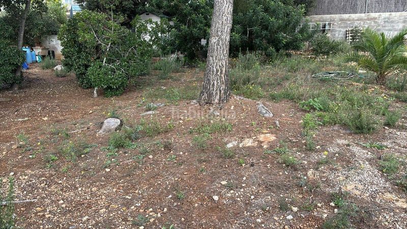 Foto 42cfcc04-899b-42f7-a939-5db768bb0e5b. Finca rústica a narcis 24 a Valldemar-Montmar Segur de Calafell