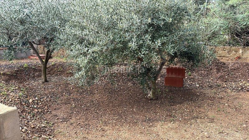 Foto a022fcc1-a052-4616-b644-9659cf19452c. Finca rústica a narcis 24 a Valldemar-Montmar Segur de Calafell