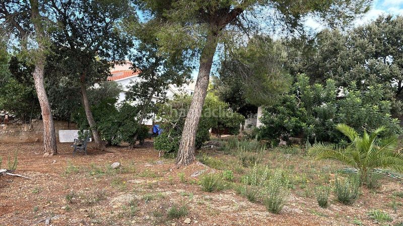 Foto d0358e62-e977-4131-a80e-fa3c8346d08d. Finca rústica a narcis 24 a Valldemar-Montmar Segur de Calafell