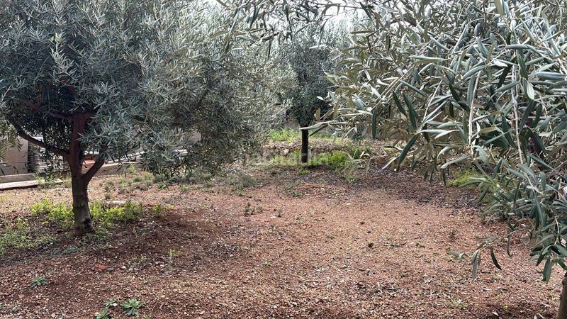 Foto f62ae779-69aa-4793-b2fc-e4e88467d9d4. Finca rústica a narcis 24 a Valldemar-Montmar Segur de Calafell