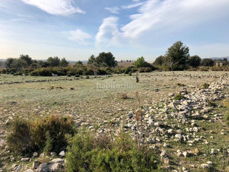 Foto 65c1f8af-a8d0-4cbe-a619-313b31fd2c4d. Finca rústica a gregal del 50 a Sant Jaume dels Domenys