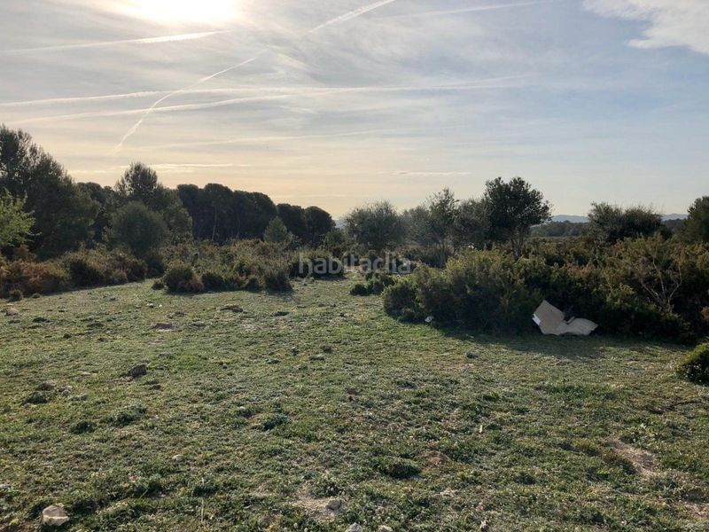 Foto a48b6047-1057-4f48-a752-b03eaa7a3382. Finca rústica a gregal del 50 a Sant Jaume dels Domenys