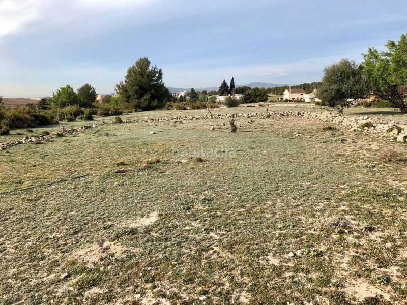 Foto ccae96c1-6f5e-47b5-85b1-9b8fe26d17d5. Finca rústica a gregal del 50 a Sant Jaume dels Domenys