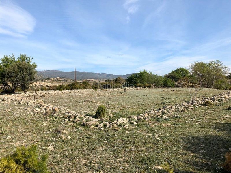 Foto d3602db4-5053-40ac-a0fe-f4332129bb0f. Finca rústica a gregal del 50 a Sant Jaume dels Domenys