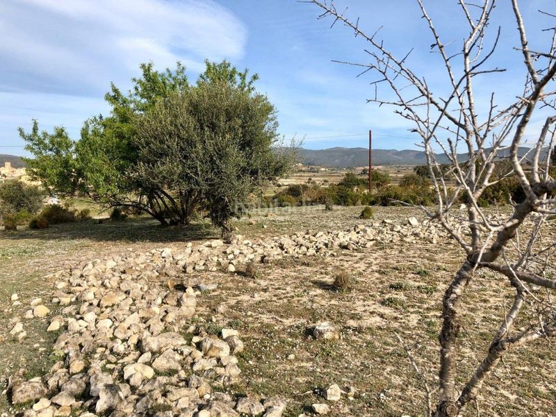 Foto e03a11b7-c79e-4386-9444-5e73b0b61c34. Finca rústica a gregal del 50 a Sant Jaume dels Domenys