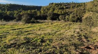 Terreno residenziale in Alcalalí. Terrenos en la llosa de camacho