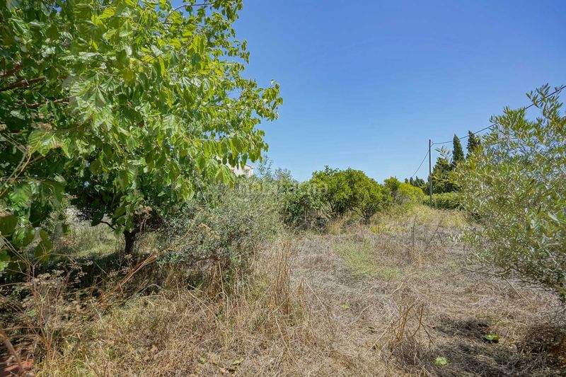 Foto fc990c52-2dce-4211-8731-7537dde91699. Xalet a Partida Comunes-Adsubia Xàbia