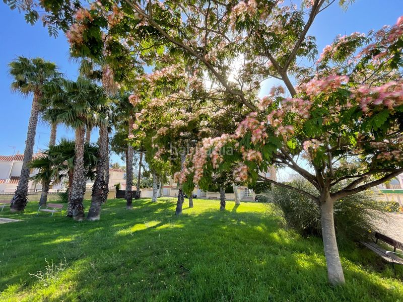 Foto 450ac08a-6dbb-4257-bd25-70fa651089f8. Apartament amb calefacció aparcament a El Palmar - Los Molinos Dénia