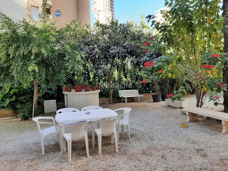 Foto 0c1c8301-5cf7-4cbd-bf16-5734f12ee1eb. Apartament amb calefacció a Playa Levante Benidorm