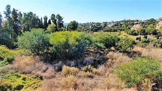 Terreny residencial a Santa María. Terreno urbano con proyecto y licencia en elviria