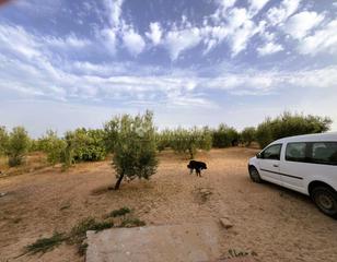 Masia a Pilas. Casa rural en venta en pilas