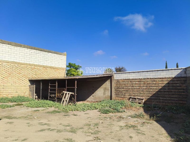 Foto 050c152c-a141-432e-a628-844250f3246f. Terreny residencial a Pilas
