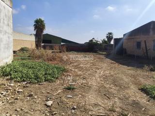 Terreny residencial a Pilas. Terrenos en venta en pilas