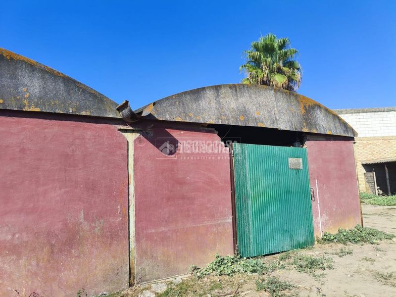 Foto 4a2d6674-1eb5-4c90-b2a9-7a2d812092c9. Terreny residencial a Pilas