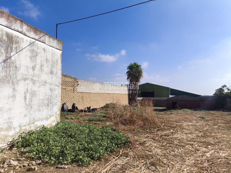 Foto 607a6cb0-a7d3-4ee1-826d-83d820b97423. Terreny residencial a Pilas