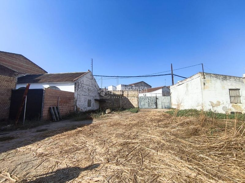 Foto 6f962d83-8bad-43ec-ad52-99e7ebc728fc. Terreny residencial a Pilas