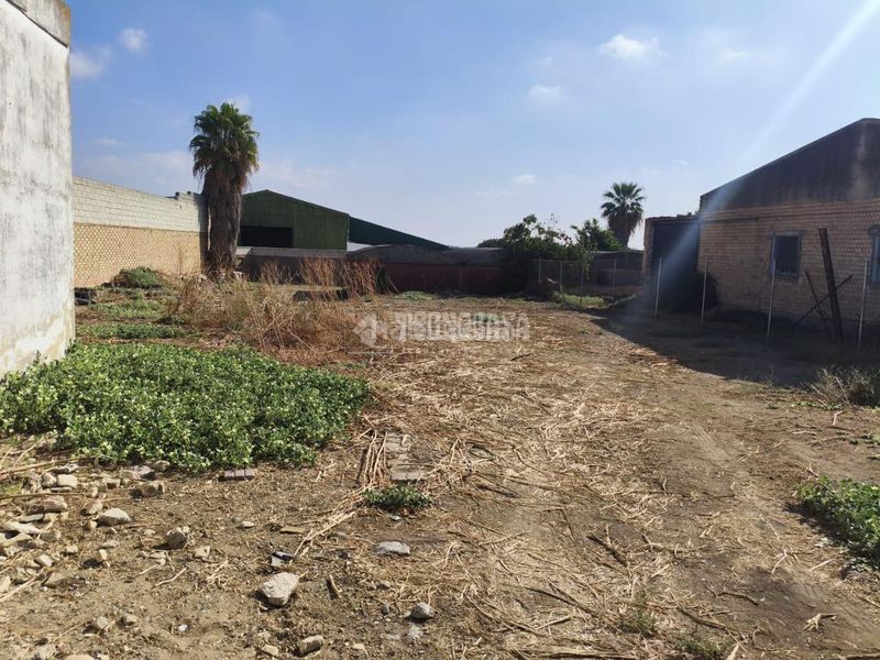Foto 82e7680a-c18b-4e52-a71b-ab97b5b6fa84. Terreny residencial a Pilas