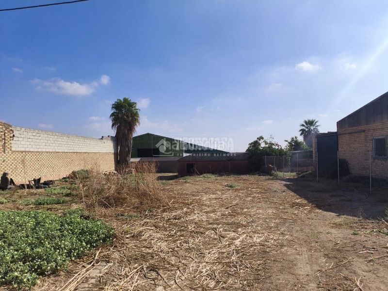 Foto 9191680f-bd79-4ccc-ac44-c00ff6b19cb0. Terreny residencial a Pilas