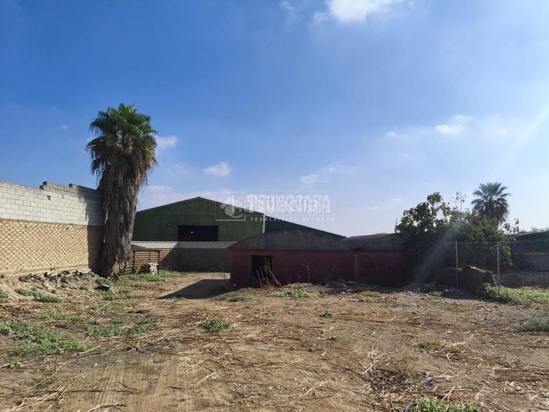 Foto a1f3255c-81ca-487b-90df-98f2dc5ea2e6. Terreny residencial a Pilas