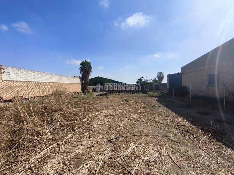 Foto ac38f5cd-8f78-42bd-b769-8f099c97119c. Terreny residencial a Pilas