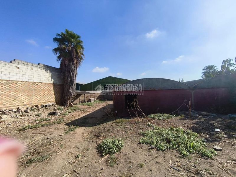 Foto afc598da-8442-4821-8303-be7f99e12cbb. Terreny residencial a Pilas