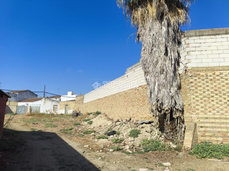 Foto caae91f5-d24a-4e1c-af5f-1e9bded42164. Terreny residencial a Pilas