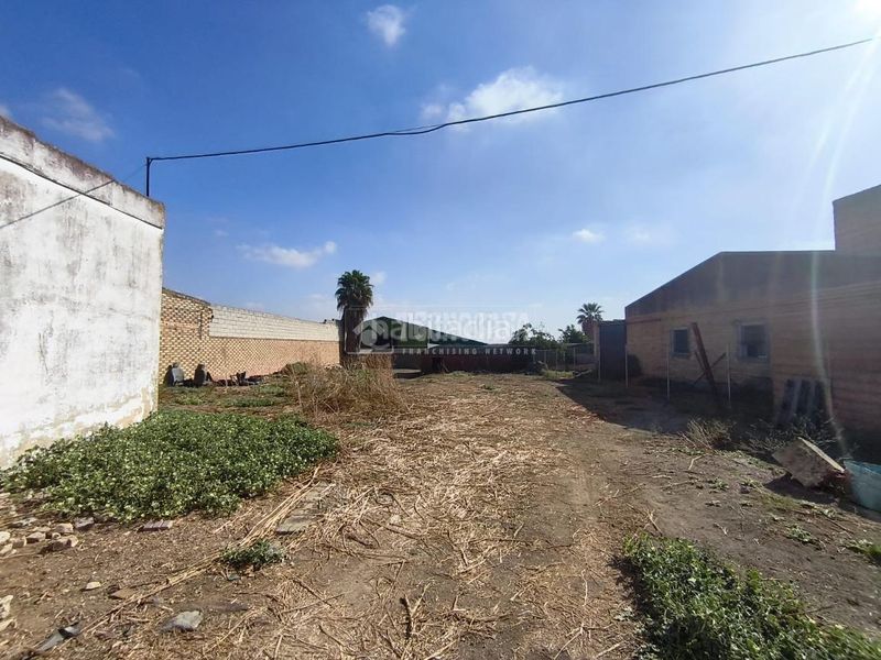 Foto ccfa5bd0-902a-4e9d-90c7-36d707560a3a. Terreny residencial a Pilas