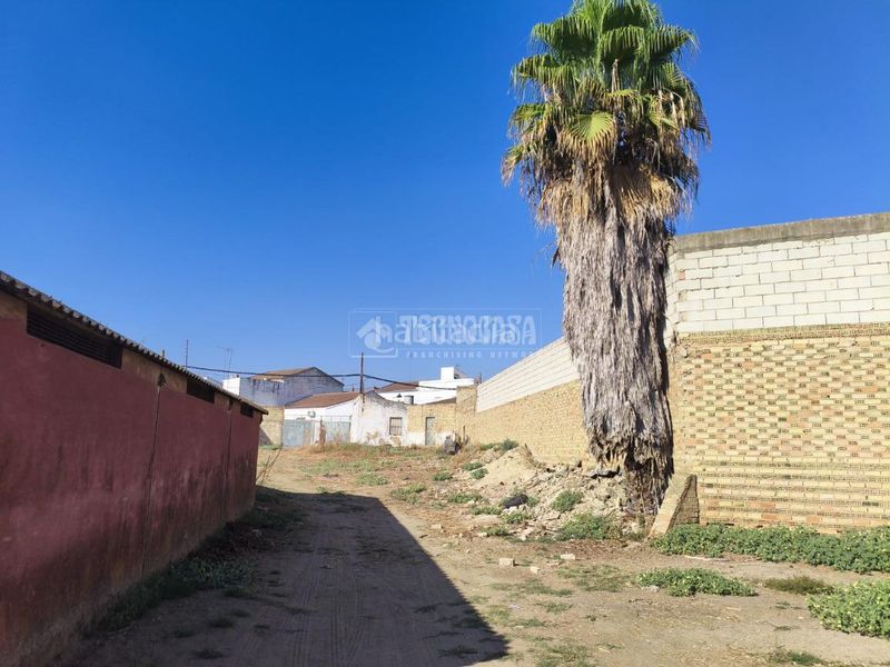 Foto d9a2a287-a37b-4250-acba-b649eeb4e5a6. Terreny residencial a Pilas