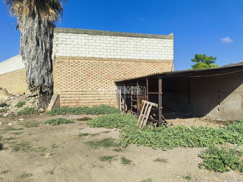 Foto f20dec57-e00c-40a7-9b48-9d410ab3553e. Terreny residencial a Pilas