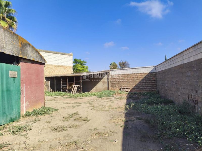 Foto fa85a812-73dd-401a-84a7-f36a0c3cfe10. Terreny residencial a Pilas