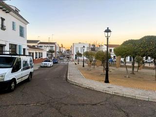 Gewerbliches Grundstück in Pilas