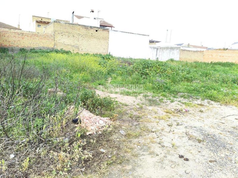 Foto 07d6e4af-283a-4498-9b3c-2c2be4135651. Terreny residencial a Pilas