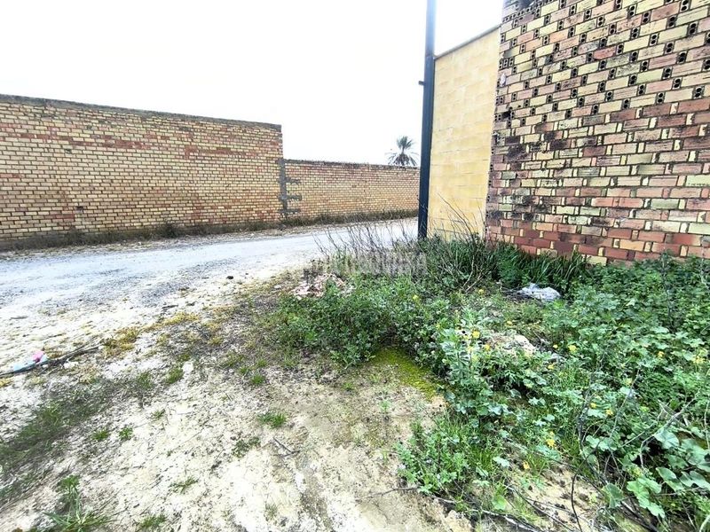 Foto 21ff9596-fc8b-446e-ae38-9476d72b53c6. Terreny residencial a Pilas