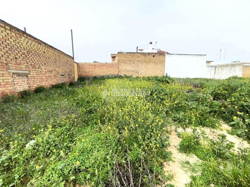 Foto 47e82713-d504-4d2f-abb0-0ebaa6acd71d. Terreny residencial a Pilas