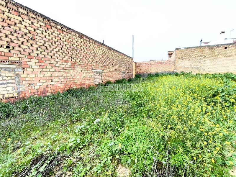 Foto 5d7c974d-a58a-4bea-97cf-82fc6408a3f2. Terreny residencial a Pilas